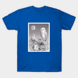 The Symbolic Narrative T-Shirt